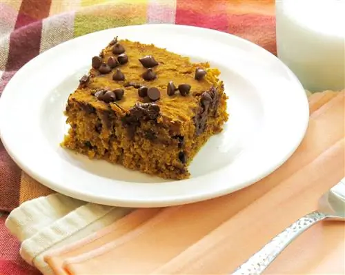 Безглютеновые тыквенные батончики с шоколадной стружкой