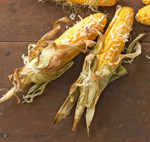 Кукуруза в початках на кокосовом молоке