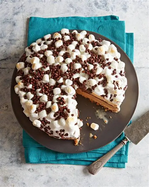 Замороженный торт S'mores Замороженный торт S'mores
