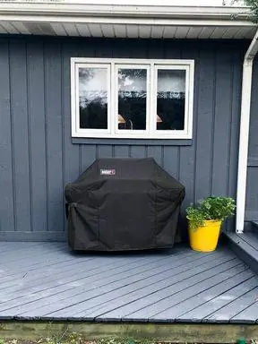 weber гриль и растение