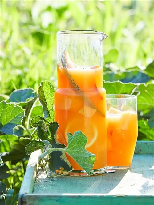 Дыня-Персик Agua Fresca