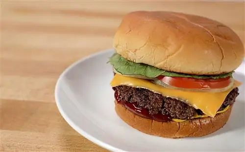 Подражательница разбитых гамбургеров