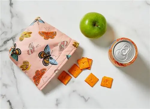 Пакет для закусок с рисунком бабочки, яблоком и напитком Cheez It