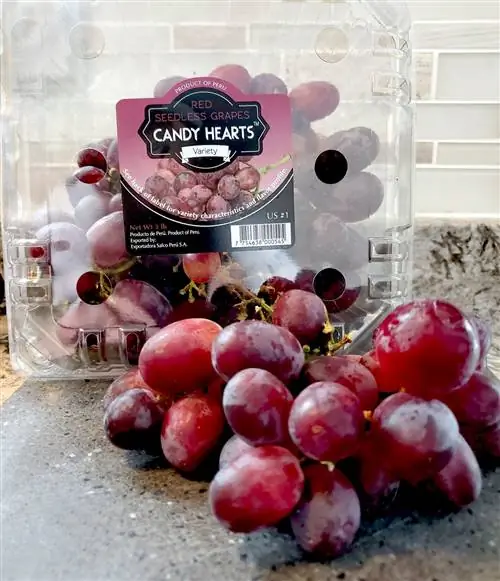 Виноград Candy Heart с виноградной пластиковой упаковкой на кухне