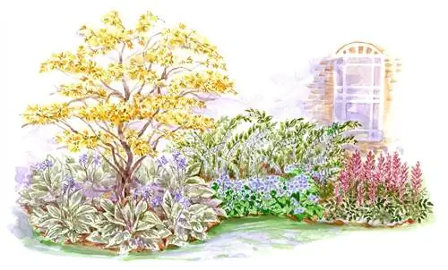 Сад для начинающих для иллюстрации плана Shade Garden