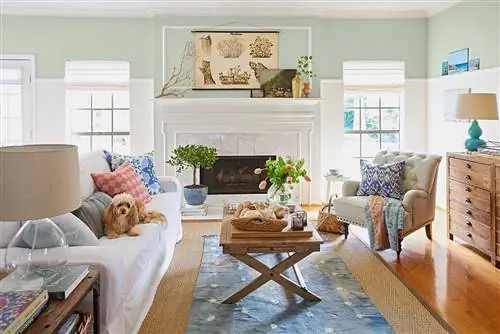 5 безопасных для домашних животных тканей для защиты мебели от пятен и царапин