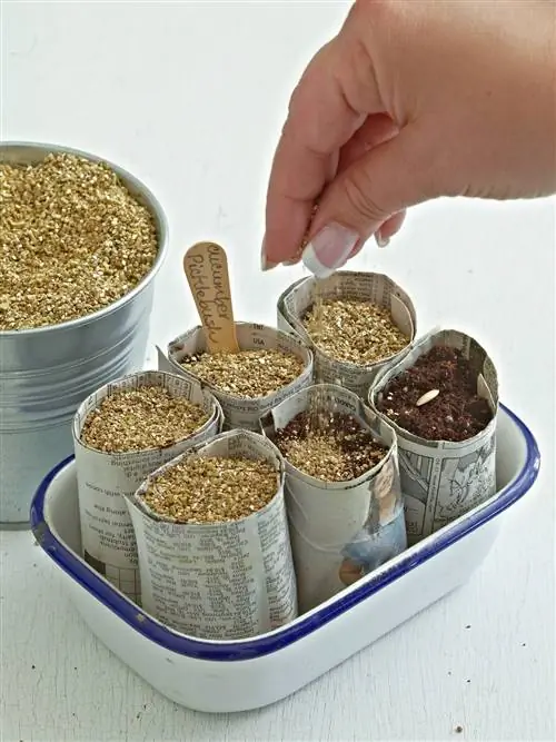 начать семена газеты горшочки стоя блюдо