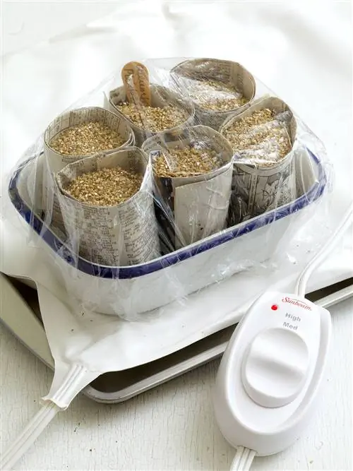 начать семена газеты горшки покрыты полиэтиленовой пленкой