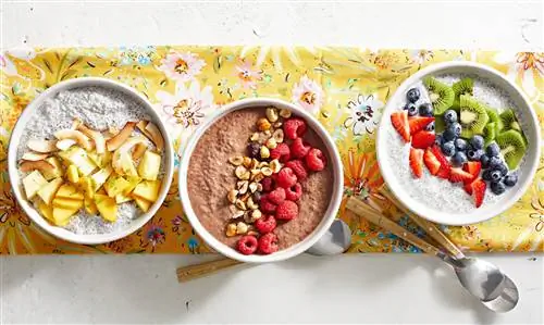 Совок о пользе семян чиа и способах их приготовления