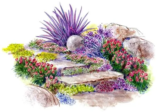 Иллюстрация засухоустойчивого склонового сада