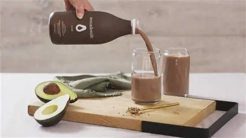 12 популярных безмолочных и растительных заменителей молока, объяснение