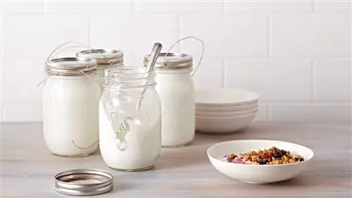 8 лучших продуктов для здоровья кишечника, по мнению экспертов