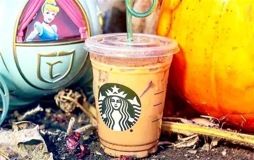 6 вкуснейших осенних напитков на заказ из секретного меню Starbucks