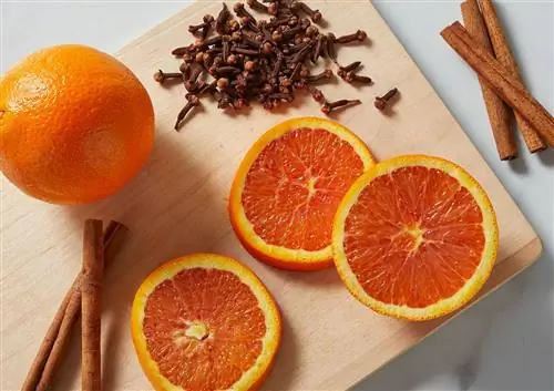 дольки апельсина палочки корицы