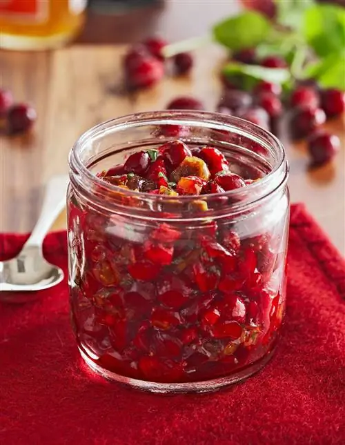 Клюквенно-инжирный релиш