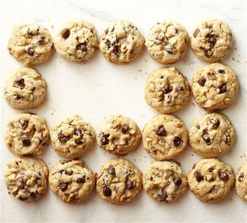 Наше лучшее базовое печенье с шоколадной крошкой