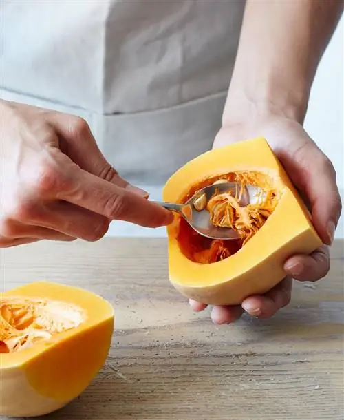 Извлечение семян из мускатной тыквы