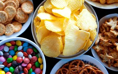 7 служб доставки закусок, которые доставят вкусности прямо к вашей двери
