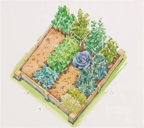 план сада открытое пространство