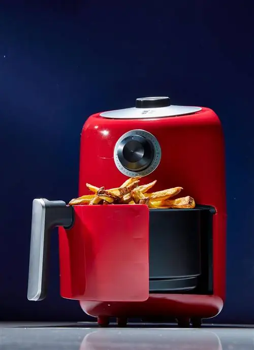 Dial Air Fryer с картофелем фри