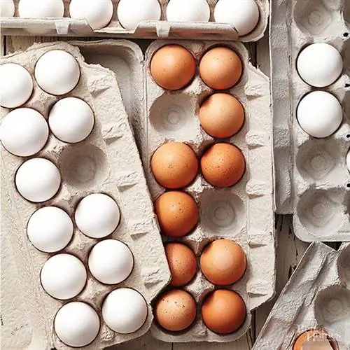 Альтернативные яйца, яйца