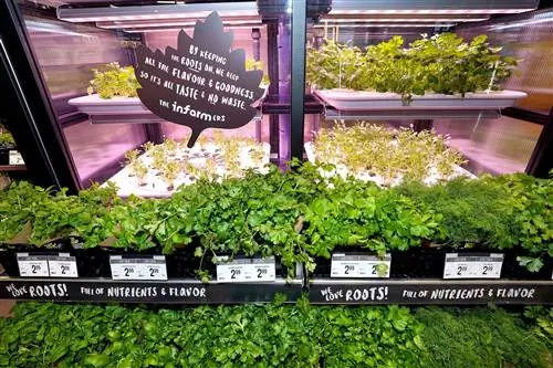 Крупный план системы выращивания Infarm в магазине Kroger в Киркланде, штат Вашингтон.