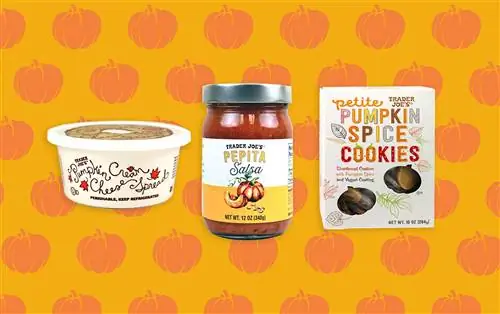 17 продуктов из тыквы в Trader Joe's, которые сделают вашу осень вкуснее