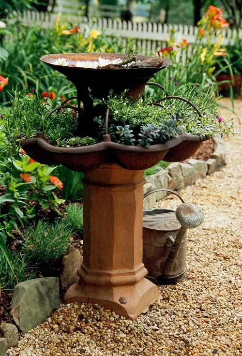 ржавая купальня для птиц вдоль гравийной дорожки в саду