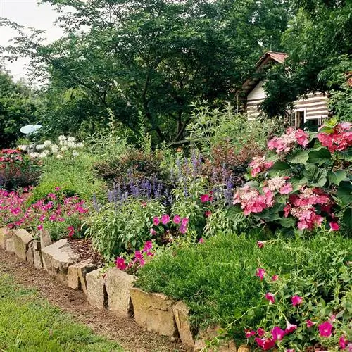 цветник с петуниями, гортензиями, шалфеем
