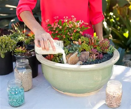 женщина насыпает гравий в контейнер с суккулентами на стол