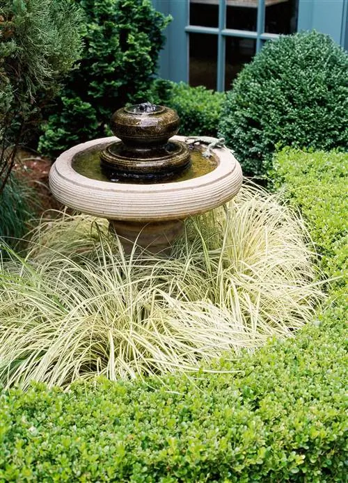 садовые растения и кустарники, окружающие купальню для птиц