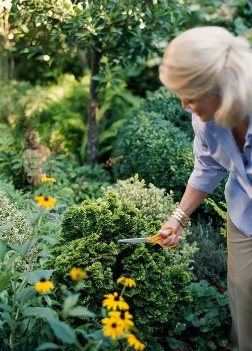 Садовый тур: приготовление к успеху