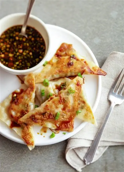 Наклейки с острым куриным горшком и соусом для макания с имбирем и зеленым луком