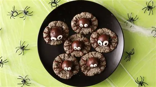 Spider Cookies черная тарелка украшения хэллоуин видео кадр