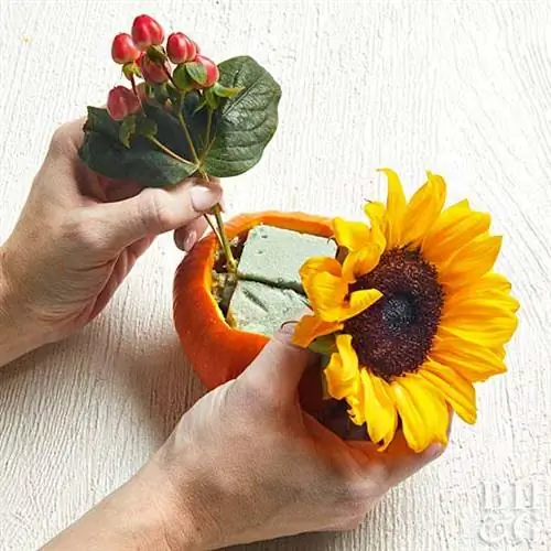 укладка цветочных стеблей внутрь тыквы