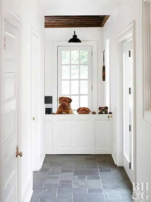 белая прихожая с собаками