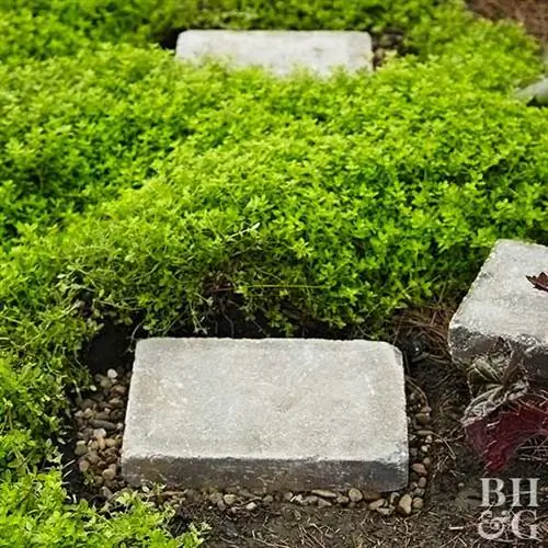 засыпать ямы мелким гравием