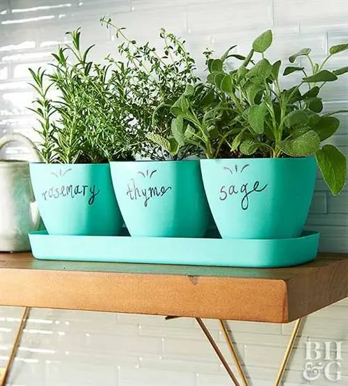 Контейнеры для хранения трав Itty Bitty Kitchen