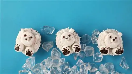 Пончики с белым медведем