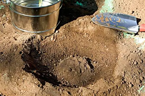 создать насыпь в яме для поддержки растений