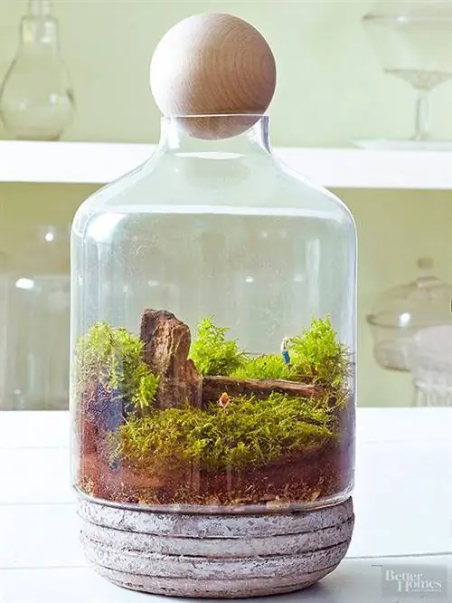 миниатюрный сад