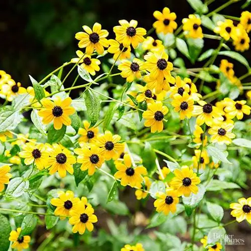 102313201-j.webp