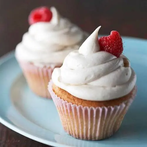Plain Jane Lets Loose Cupcakes