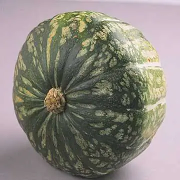 зеленая дыня