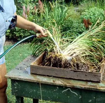 Распылить почву