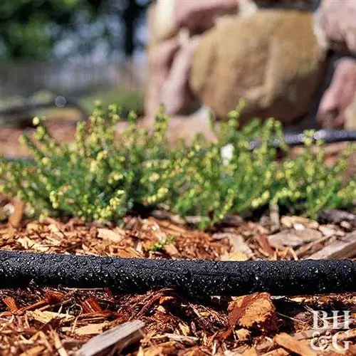 Замачивающий шланг