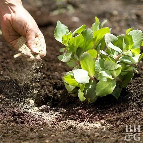 Fertilizing Многолетнее растение, Удобрение, Внесение удобрений, Корм для растений