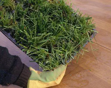 Газонные заглушки