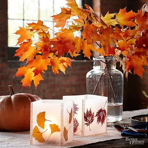 Начните газон с заглушками & Веточки