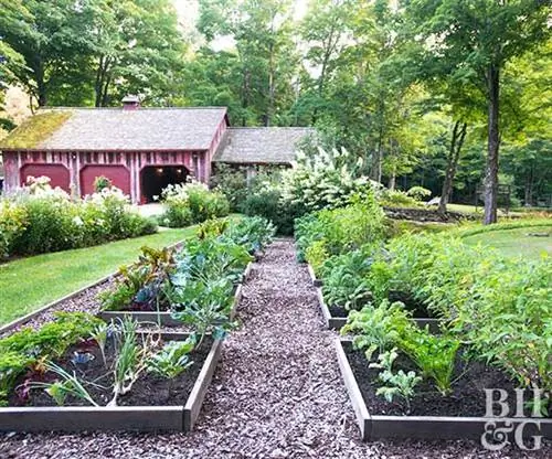 Алисия Эванс Гарден